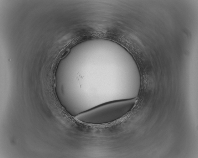 X0000111911057200908031133
