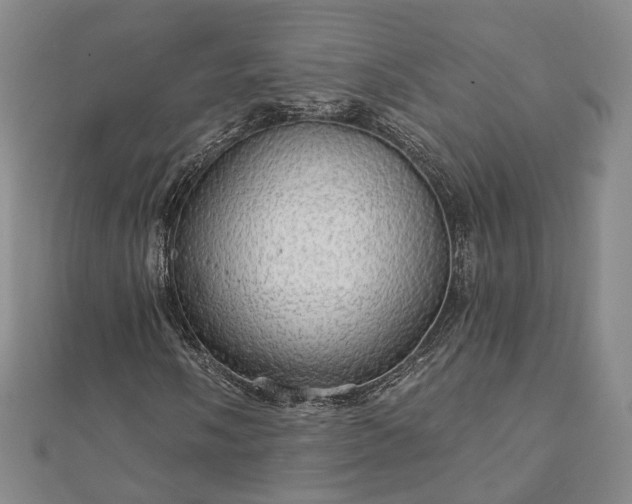 X0000111911058200908031133