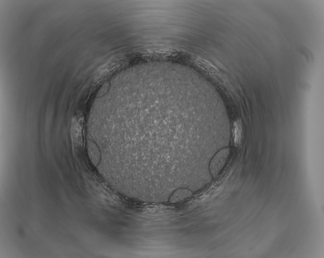X0000111911059200908031133