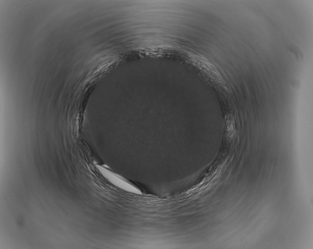 X0000111911060200908031133