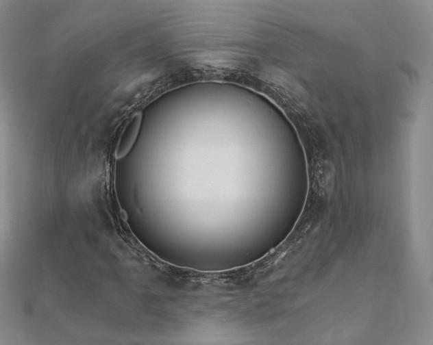 X0000111911061200908031133