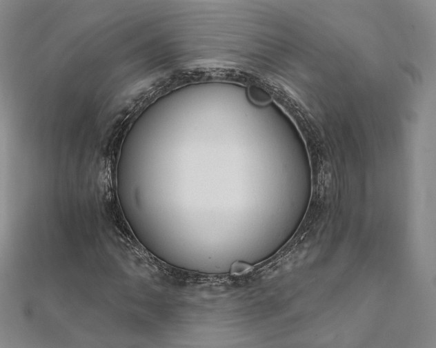 X0000111911062200908031133