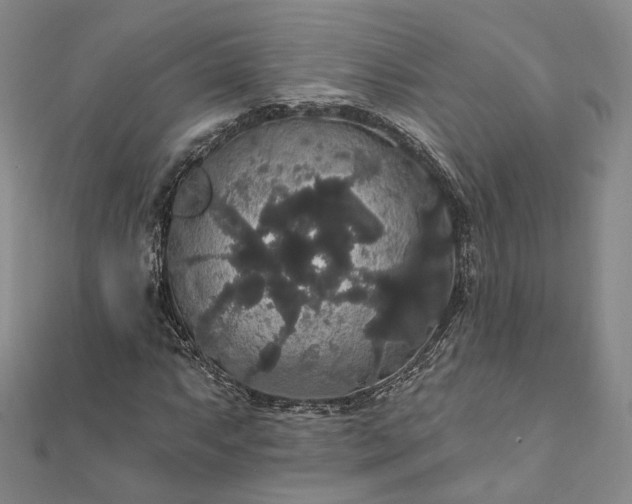 X0000111911063200908031133