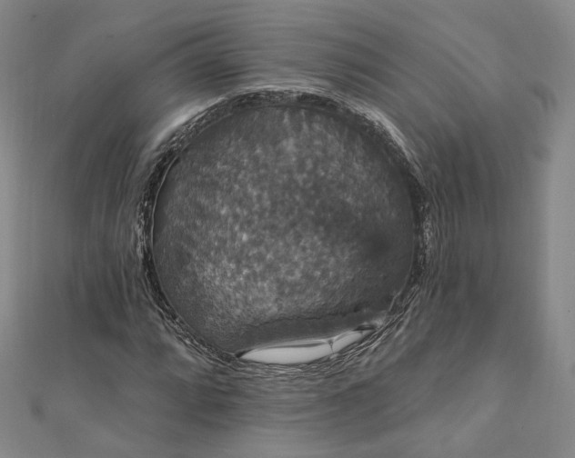 X0000111911064200908031133