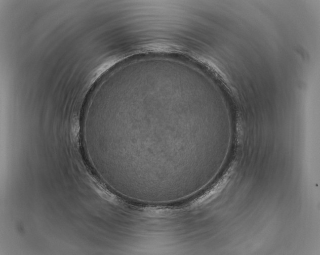 X0000111911065200908031133