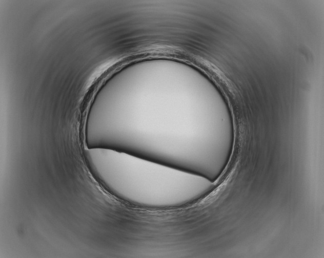 X0000111911066200908031133