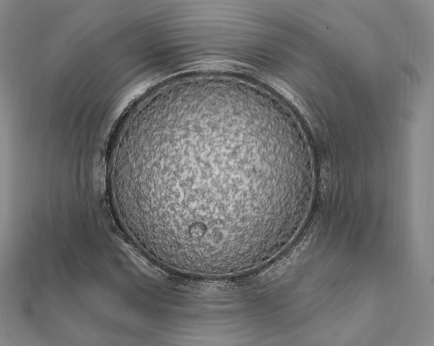X0000111911067200908031133