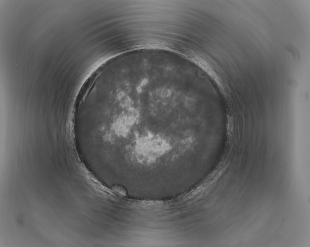 X0000111911068200908031133