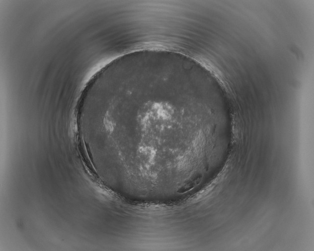 X0000111911070200908031133