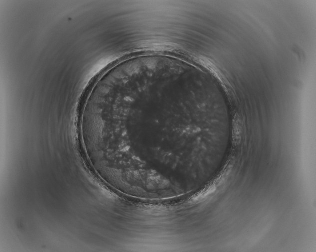X0000111911071200908031133