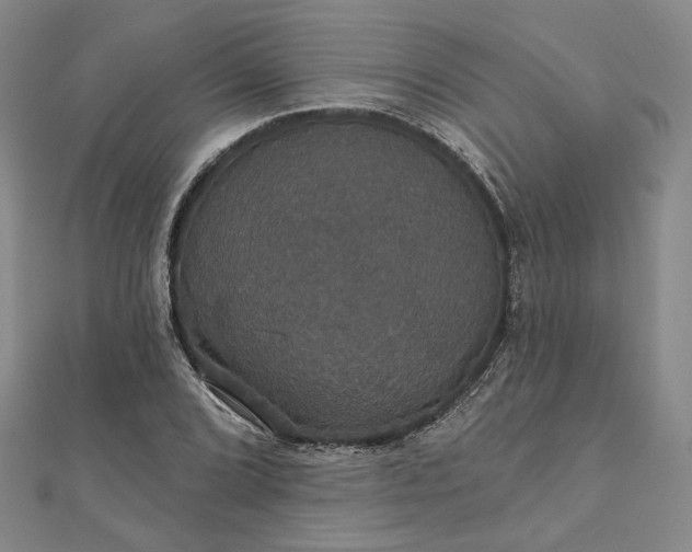 X0000111911072200908031133