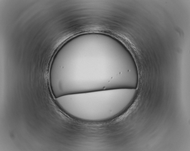X0000111911073200908031133