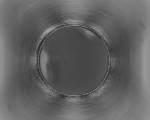 X0000111911074200908031133