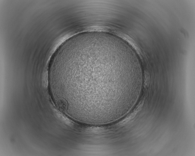 X0000111911075200908031133