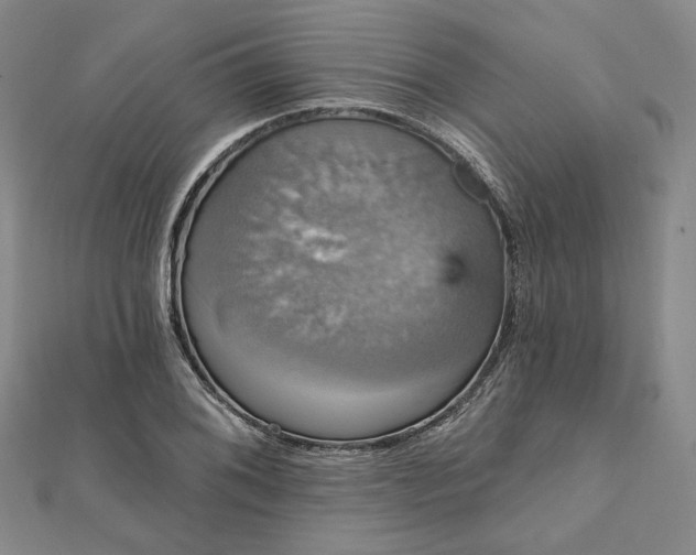 X0000111911076200908031133