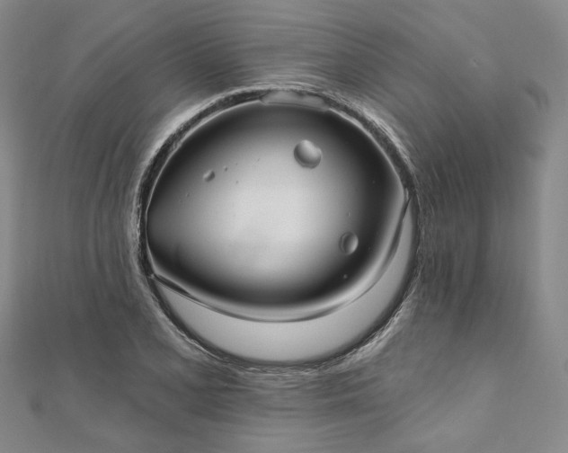 X0000111911077200908031133