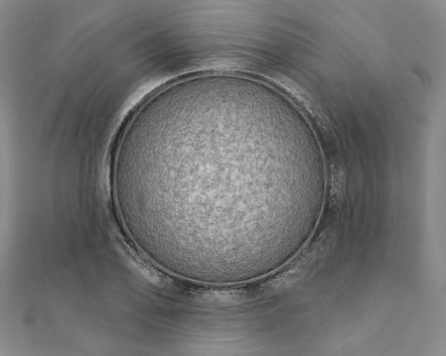X0000111911078200908031133
