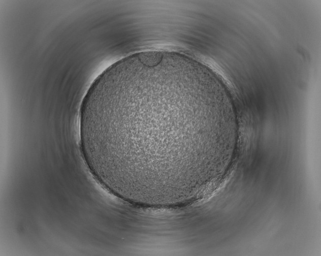 X0000111911079200908031133