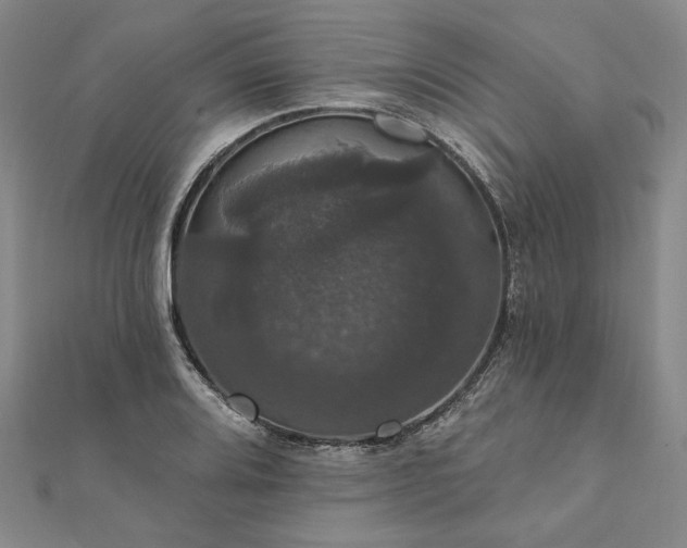X0000111911080200908031133