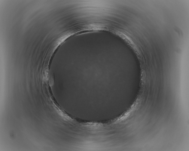 X0000111911081200908031133