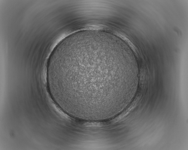 X0000111911083200908031133