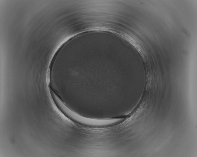 X0000111911084200908031133