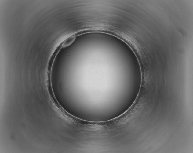 X0000111911085200908031133