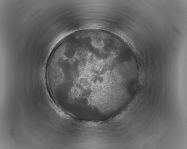 X0000111911086200908031133