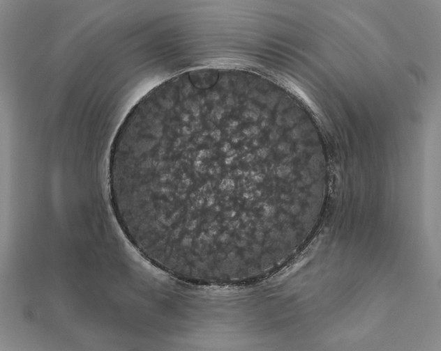 X0000111911087200908031133