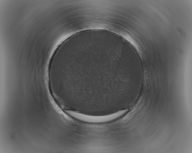X0000111911088200908031133