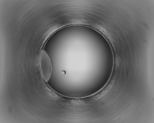 X0000111911089200908031133