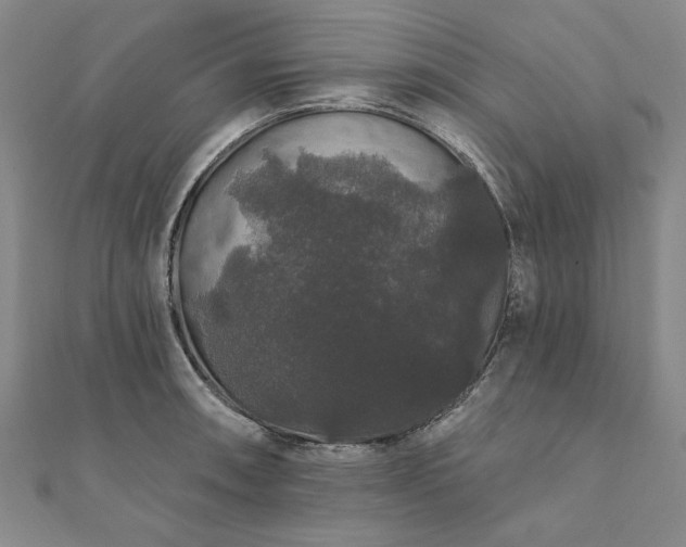 X0000111911090200908031133