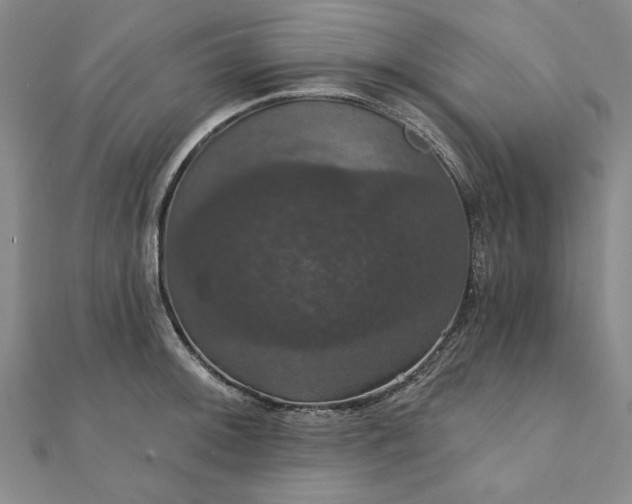 X0000111911092200908031133