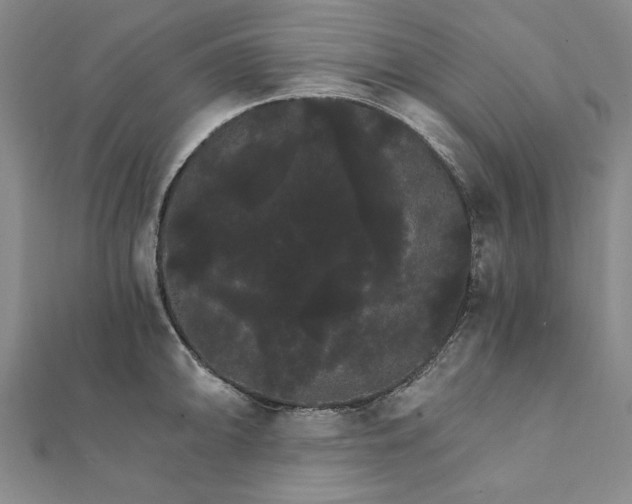 X0000111911094200908031133