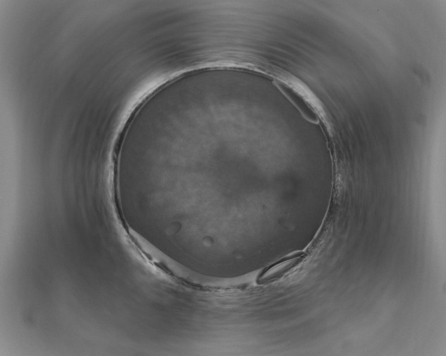 X0000111911096200908031133