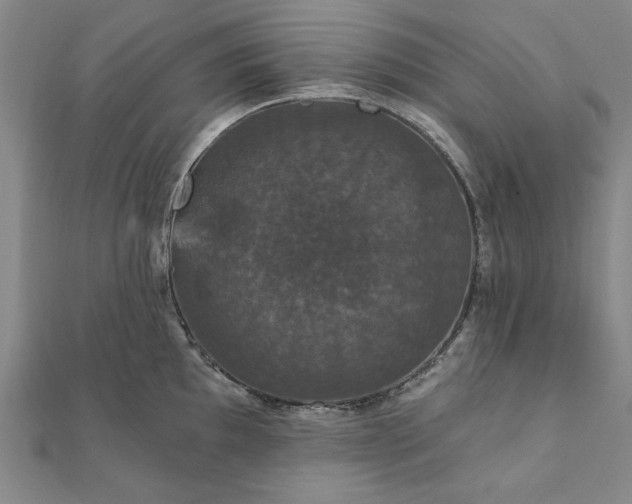 X0000111911097200908031133