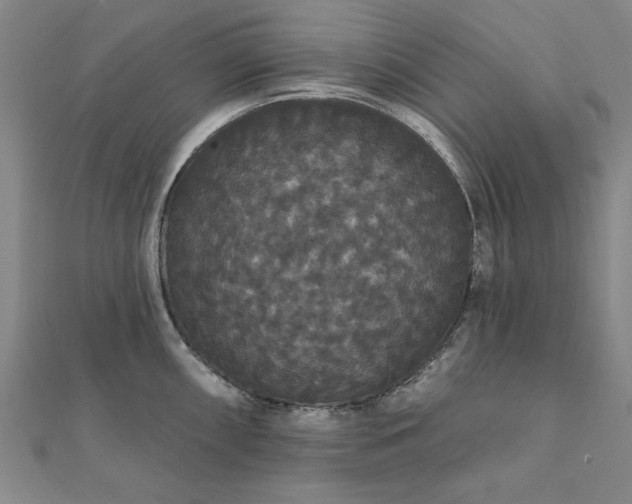 X0000111911098200908031133