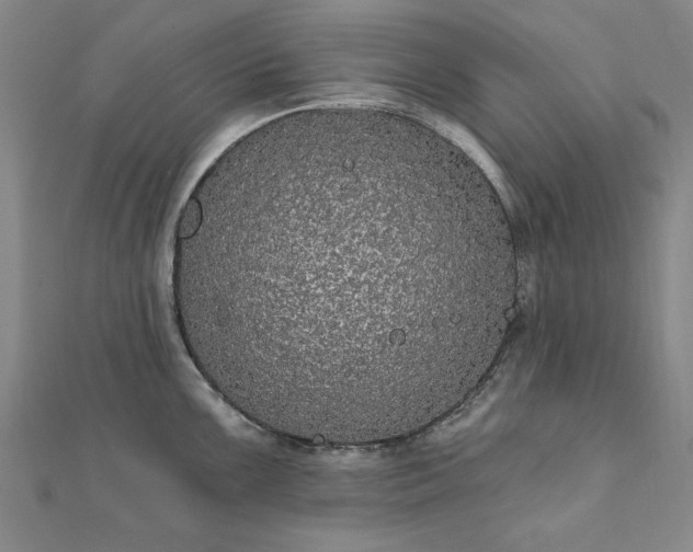 X0000111911099200908031132