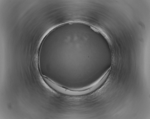 X0000111911100200908031132