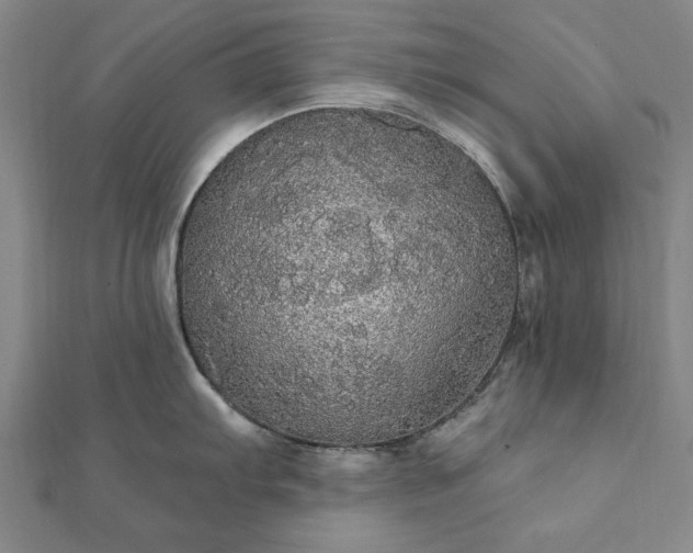 X0000111911103200908031132