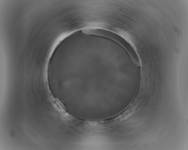 X0000111911104200908031132