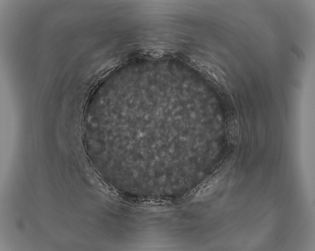 X0000111911105200908031132