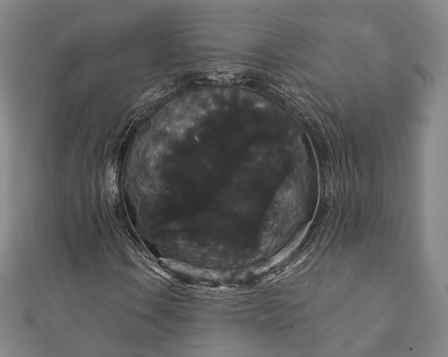 X0000111911106200908031132