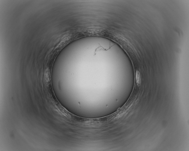 X0000111911107200908031132