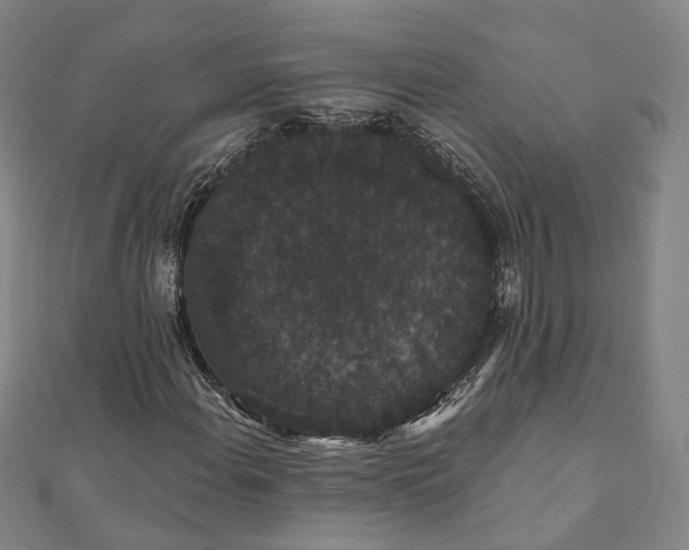 X0000111911108200908031132