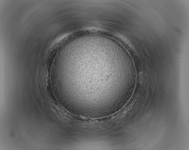 X0000111911111200908031132