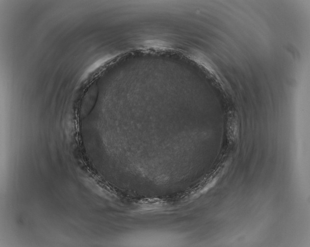 X0000111911112200908031132