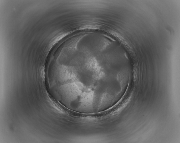 X0000111911113200908031132