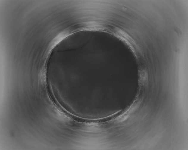 X0000111911114200908031132