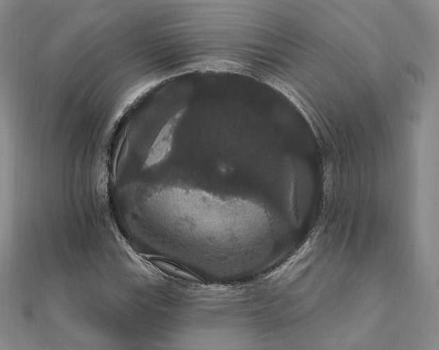 X0000111911115200908031132